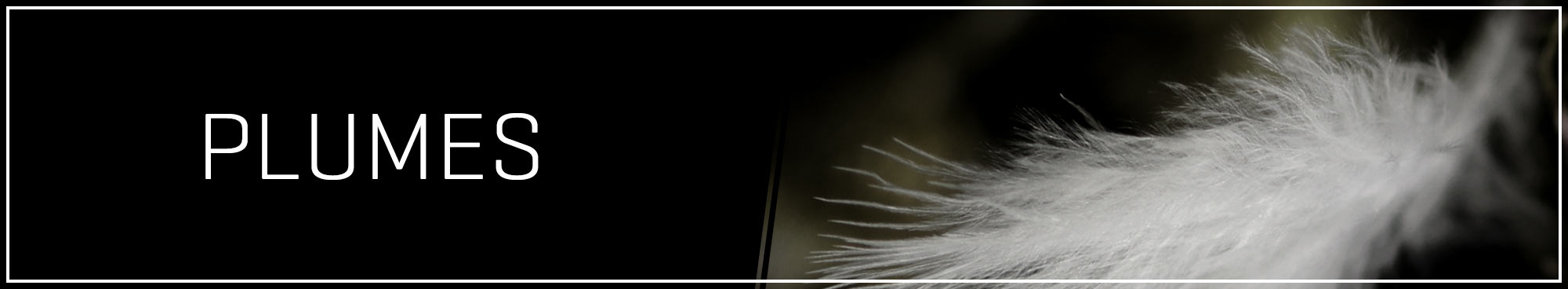 HOM Plumes