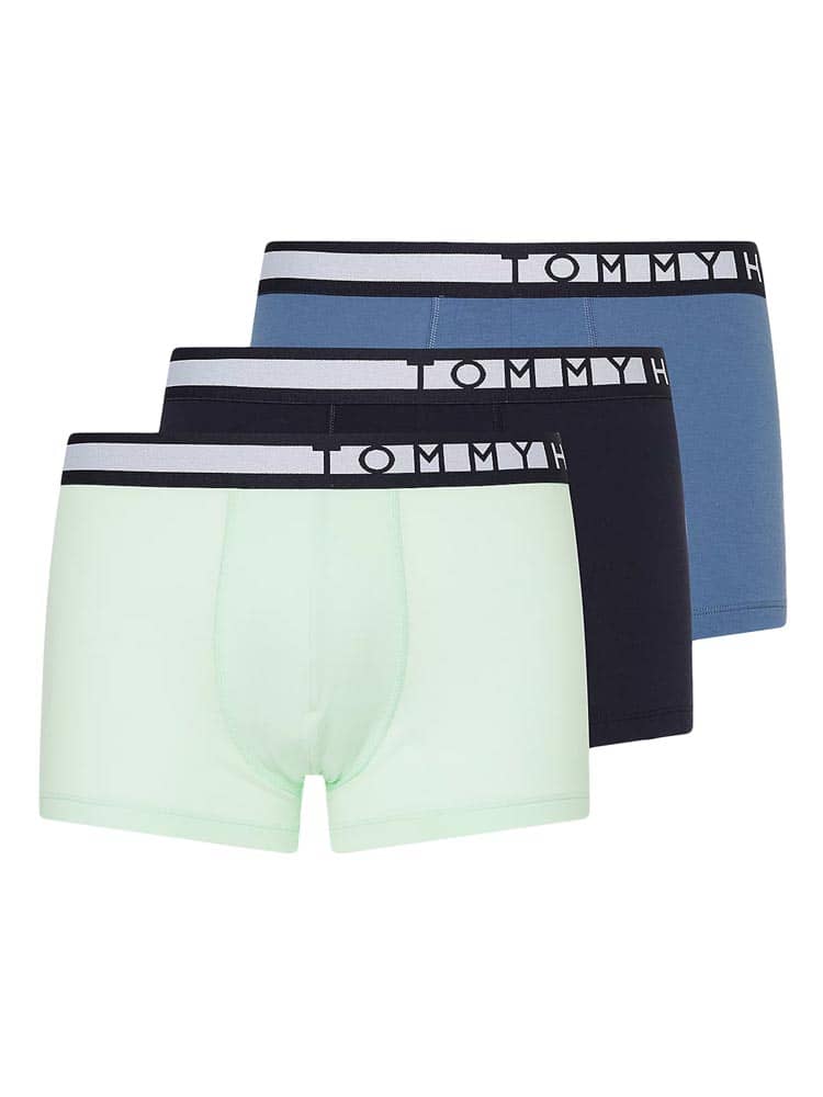 3p Trunk - Statement