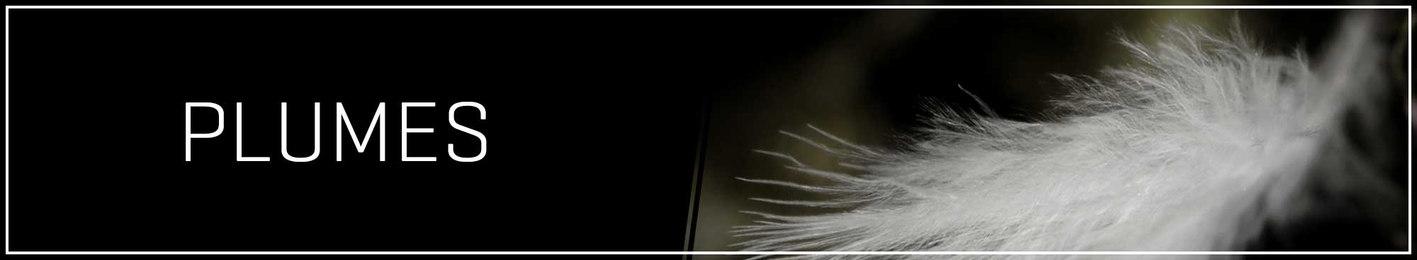 HOM plumes