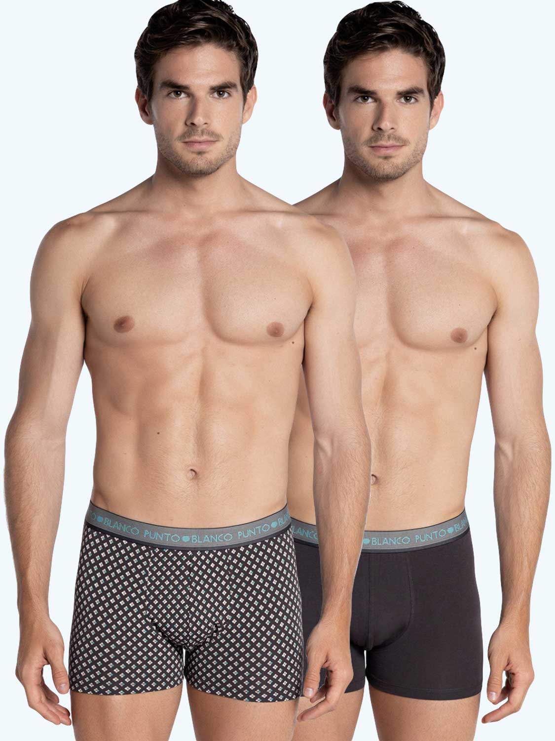 2p Boxer Briefs - Subtle (cottonmodal)